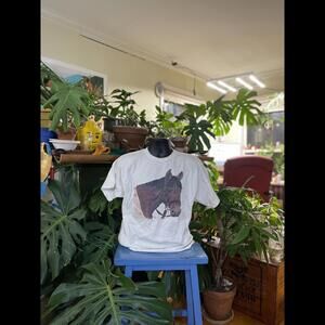 Vintage Mountain Express Horse Graphic T-Shirt